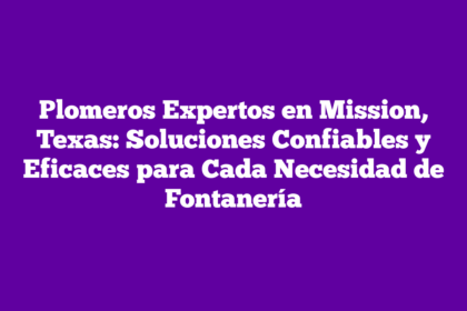 Plomeros Expertos en Mission, Texas: Soluciones Confiables y Eficaces para Cada Necesidad de Fontanería
