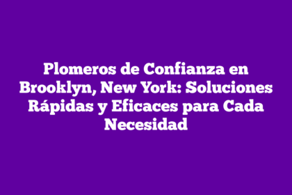 Plomeros de Confianza en Brooklyn, New York: Soluciones Rápidas y Eficaces para Cada Necesidad