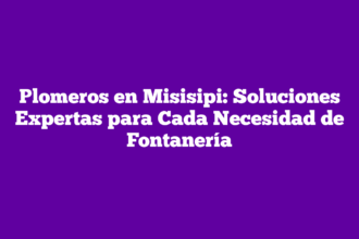 Plomeros en Misisipi: Soluciones Expertas para Cada Necesidad de Fontanería