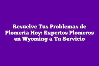 Resuelve Tus Problemas de Plomería Hoy: Expertos Plomeros en Wyoming a Tu Servicio