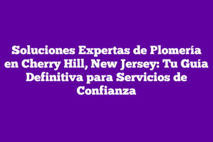 Soluciones Expertas de Plomería en Cherry Hill, New Jersey: Tu Guía Definitiva para Servicios de Confianza
