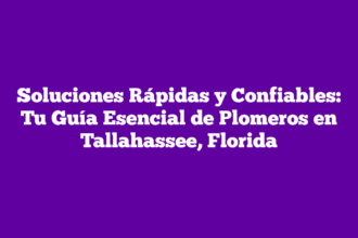 Soluciones Rápidas y Confiables: Tu Guía Esencial de Plomeros en Tallahassee, Florida