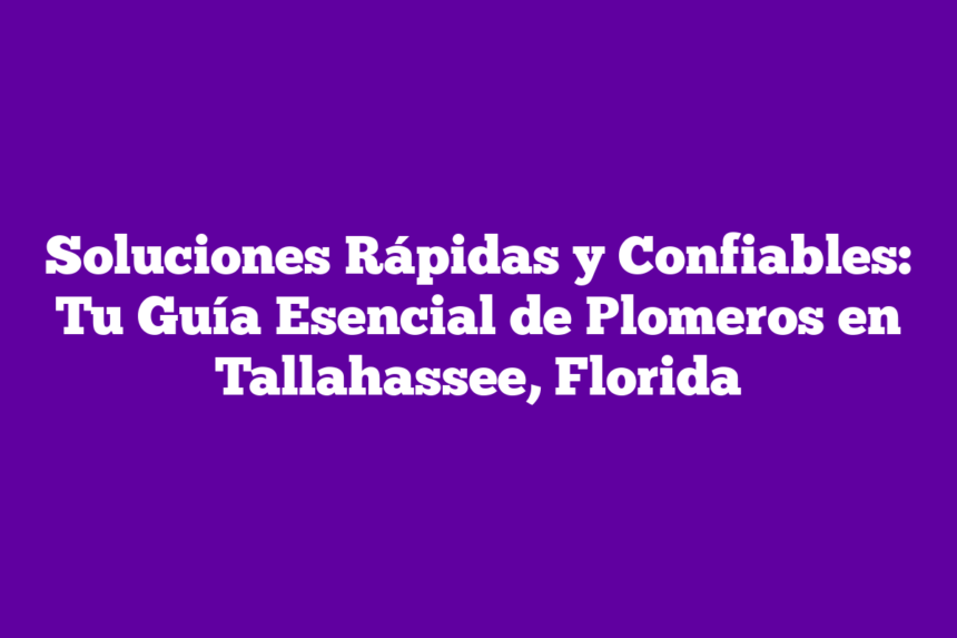 Soluciones Rápidas y Confiables: Tu Guía Esencial de Plomeros en Tallahassee, Florida