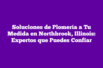 Soluciones de Plomería a Tu Medida en Northbrook, Illinois: Expertos que Puedes Confiar