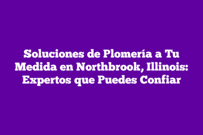 Soluciones de Plomería a Tu Medida en Northbrook, Illinois: Expertos que Puedes Confiar