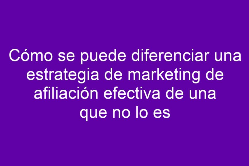 Imagen de Cómo se puede diferenciar una estrategia de marketing de afiliación efectiva de una que no lo es Cómo se puede diferenciar una estrategia de marketing de afiliación efectiva de una que no lo es - 7