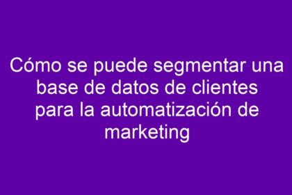 Cómo se puede segmentar una base de datos de clientes para la automatización de marketing - 10