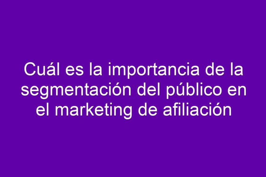 Cuál es la importancia de la segmentación del público en el marketing de afiliación - 7