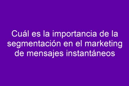 Cuál es la importancia de la segmentación en el marketing de mensajes instantáneos - 10