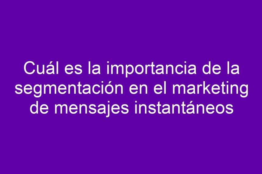 Imagen de Cuál es la importancia de la segmentación en el marketing de mensajes instantáneos Cuál es la importancia de la segmentación en el marketing de mensajes instantáneos - 7