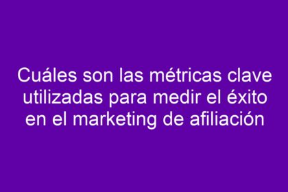 Cuáles son las métricas clave utilizadas para medir el éxito en el marketing de afiliación - 24