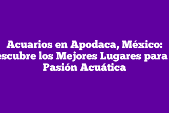 Acuarios en Apodaca, México: Descubre los Mejores Lugares para tu Pasión Acuática