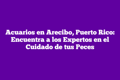 Acuarios en Arecibo, Puerto Rico: Encuentra a los Expertos en el Cuidado de tus Peces
