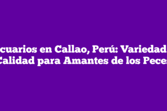 Acuarios en Callao, Perú: Variedad y Calidad para Amantes de los Peces