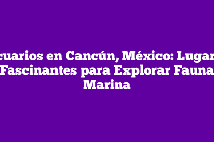 Acuarios en Cancún, México: Lugares Fascinantes para Explorar Fauna Marina