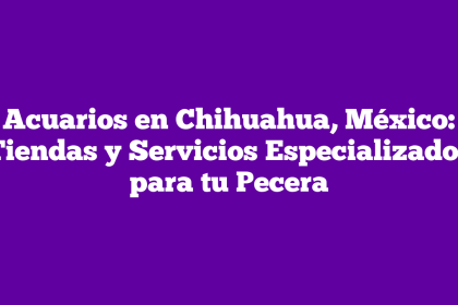 Acuarios en Chihuahua, México: Tiendas y Servicios Especializados para tu Pecera