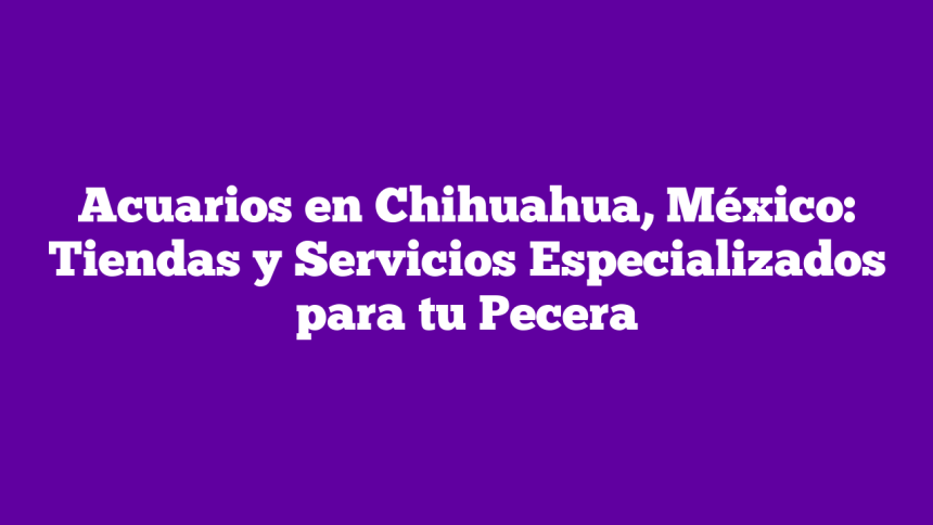 Acuarios en Chihuahua, México: Tiendas y Servicios Especializados para tu Pecera
