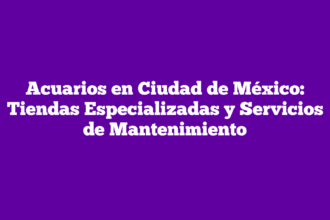Acuarios en Ciudad de México: Tiendas Especializadas y Servicios de Mantenimiento