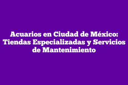 Acuarios en Ciudad de México: Tiendas Especializadas y Servicios de Mantenimiento
