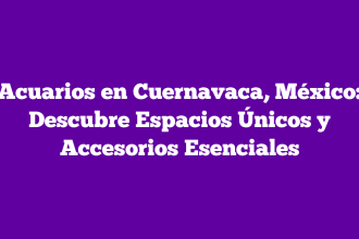 Acuarios en Cuernavaca, México: Descubre Espacios Únicos y Accesorios Esenciales