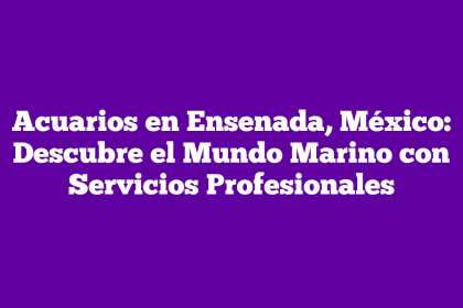 Acuarios en Ensenada, México: Descubre el Mundo Marino con Servicios Profesionales