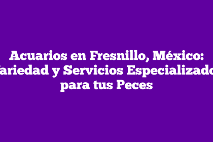 Acuarios en Fresnillo, México: Variedad y Servicios Especializados para tus Peces