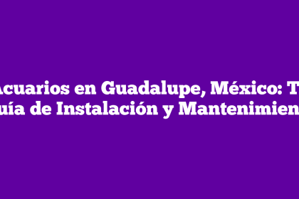 Acuarios en Guadalupe, México: Tu Guía de Instalación y Mantenimiento