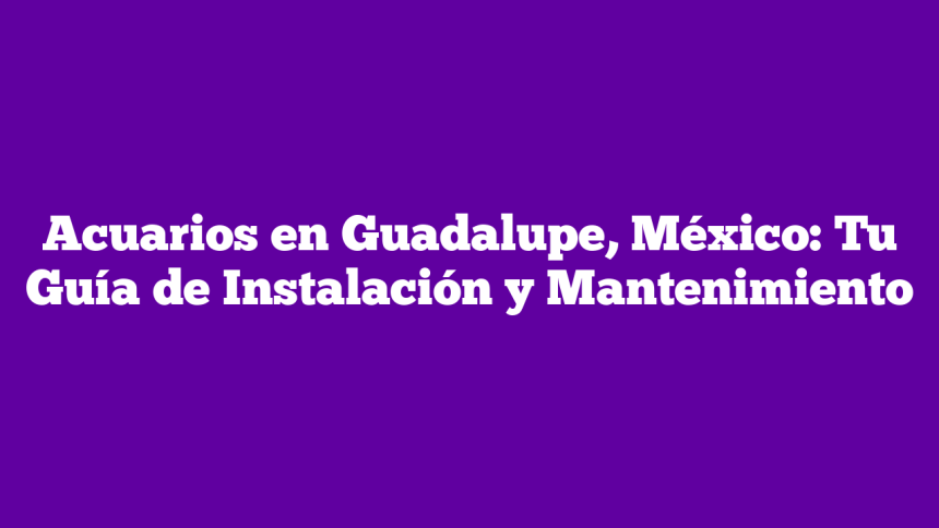 Imagen de Acuarios en Guadalupe, México: Tu Guía de Instalación y Mantenimiento Acuarios en Guadalupe, México: Tu Guía de Instalación y Mantenimiento