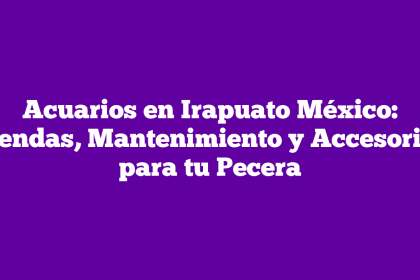Acuarios en Irapuato México: Tiendas, Mantenimiento y Accesorios para tu Pecera