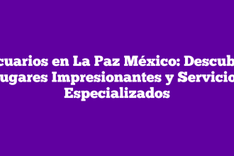 Acuarios en La Paz México: Descubre Lugares Impresionantes y Servicios Especializados