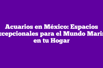 Acuarios en México: Espacios Excepcionales para el Mundo Marino en tu Hogar