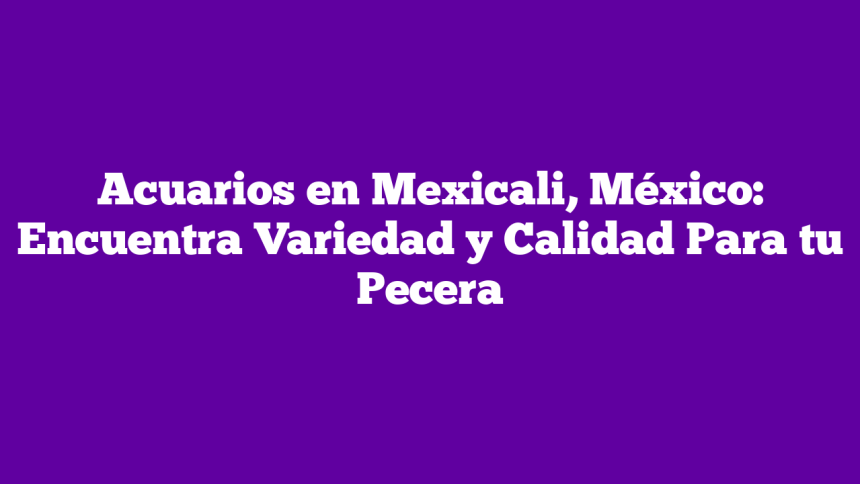 Acuarios en Mexicali, México: Encuentra Variedad y Calidad Para tu Pecera