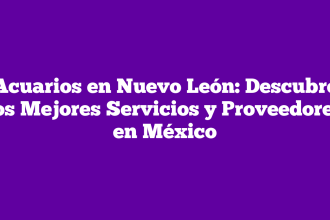 Acuarios en Nuevo León: Descubre los Mejores Servicios y Proveedores en México