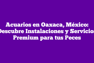 Acuarios en Oaxaca, México: Descubre Instalaciones y Servicios Premium para tus Peces