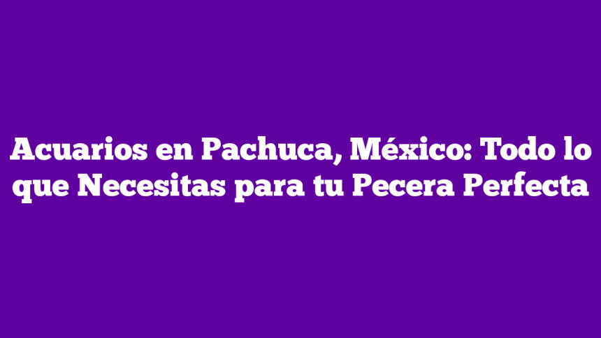 Imagen de Acuarios en Pachuca, México: Todo lo que Necesitas para tu Pecera Perfecta Acuarios en Pachuca, México: Todo lo que Necesitas para tu Pecera Perfecta