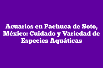 Acuarios en Pachuca de Soto, México: Cuidado y Variedad de Especies Aquáticas