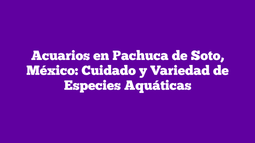 Imagen de Acuarios en Pachuca de Soto, México: Cuidado y Variedad de Especies Aquáticas Acuarios en Pachuca de Soto, México: Cuidado y Variedad de Especies Aquáticas