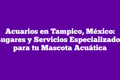 Acuarios en Tampico, México: Lugares y Servicios Especializados para tu Mascota Acuática