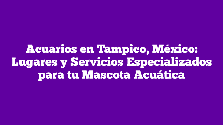 Acuarios en Tampico, México: Lugares y Servicios Especializados para tu Mascota Acuática