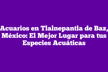 Acuarios en Tlalnepantla de Baz, México: El Mejor Lugar para tus Especies Acuáticas