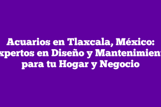 Acuarios en Tlaxcala, México: Expertos en Diseño y Mantenimiento para tu Hogar y Negocio
