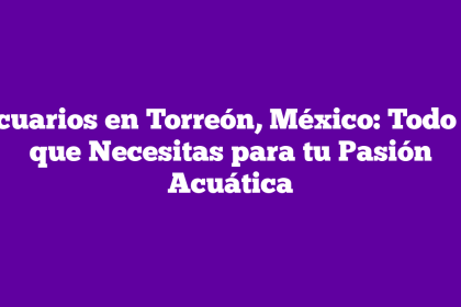 Acuarios en Torreón, México: Todo lo que Necesitas para tu Pasión Acuática