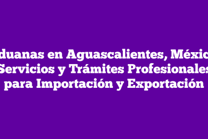 Aduanas en Aguascalientes, México: Servicios y Trámites Profesionales para Importación y Exportación