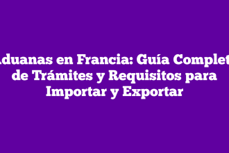 Aduanas en Francia: Guía Completa de Trámites y Requisitos para Importar y Exportar