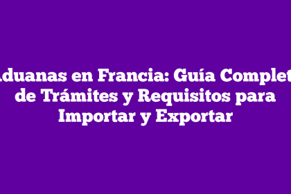 Aduanas en Francia: Guía Completa de Trámites y Requisitos para Importar y Exportar