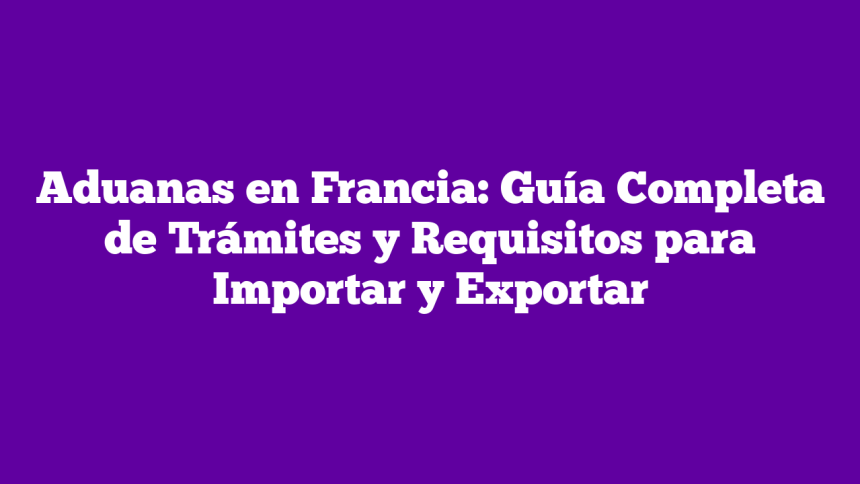 Aduanas en Francia: Guía Completa de Trámites y Requisitos para Importar y Exportar