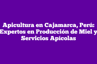 Apicultura en Cajamarca, Perú: Expertos en Producción de Miel y Servicios Apícolas