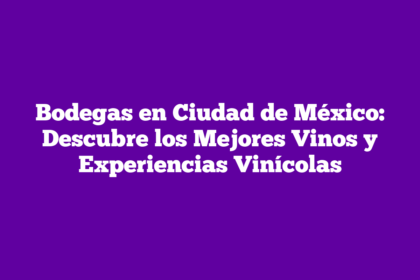 Bodegas en Ciudad de México: Descubre los Mejores Vinos y Experiencias Vinícolas
