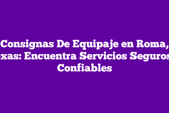 Consignas De Equipaje en Roma, Texas: Encuentra Servicios Seguros y Confiables