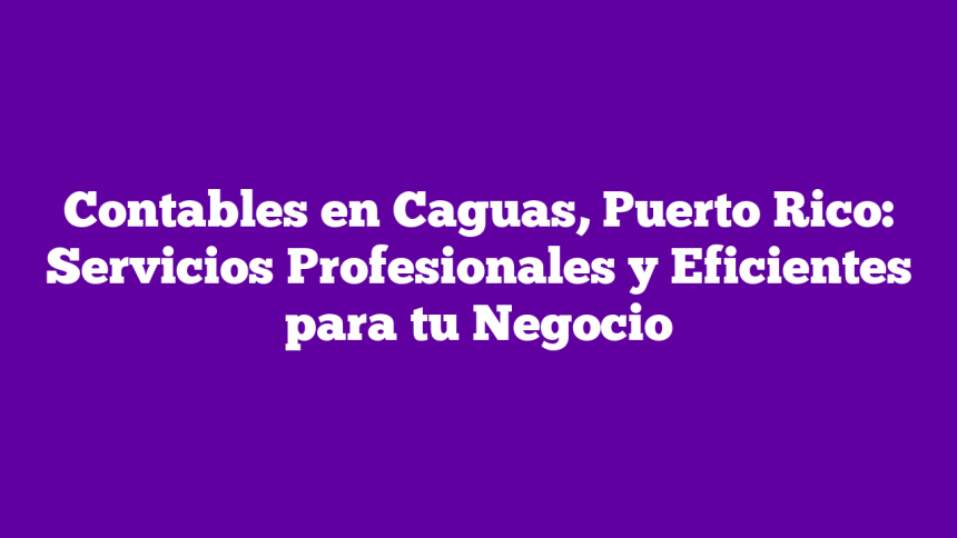 Imagen de Contables en Caguas, Puerto Rico: Servicios Profesionales y Eficientes para tu Negocio Contables en Caguas, Puerto Rico: Servicios Profesionales y Eficientes para tu Negocio